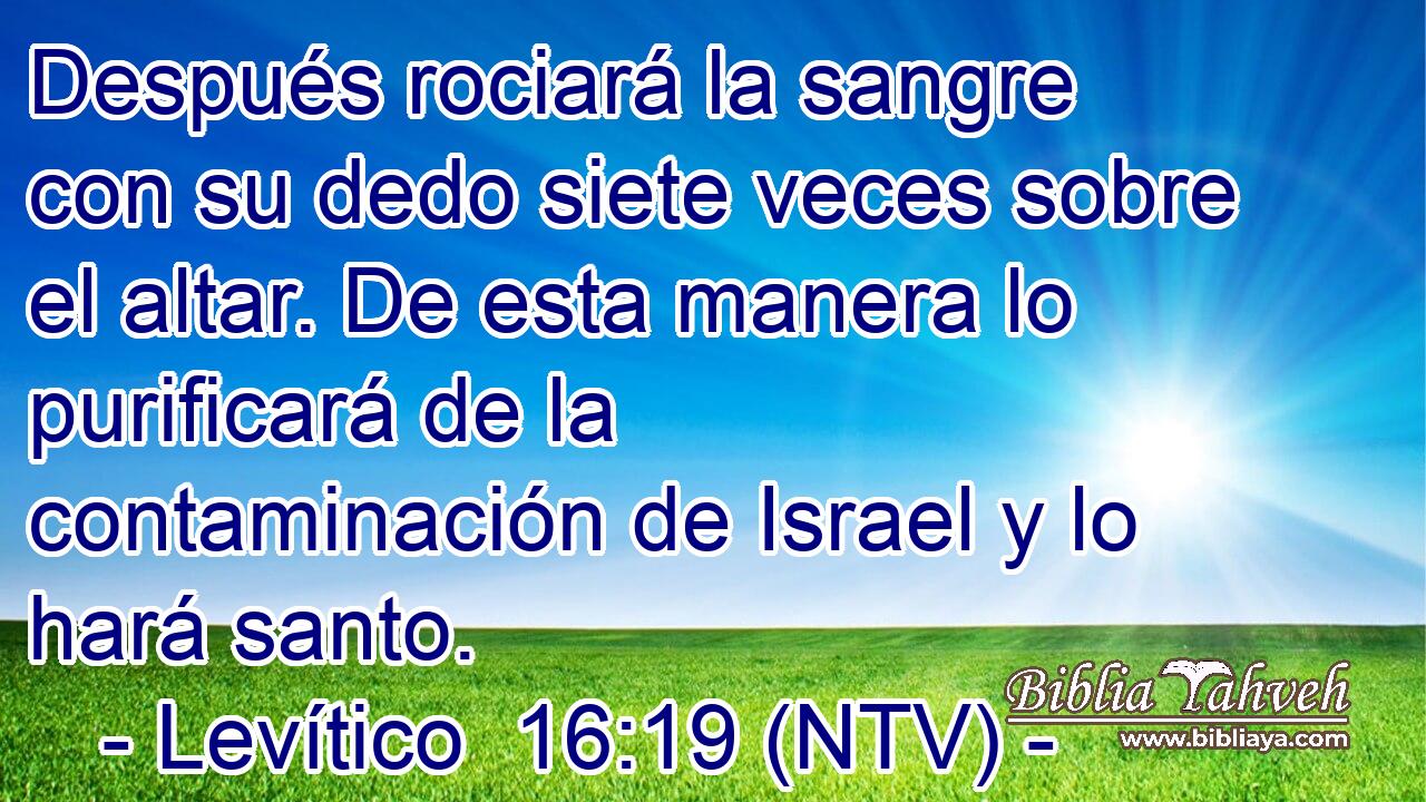 Después rociará la sangre con su dedo siete veces sobre el altar. De esta manera lo purificará de la contaminación de Israel y lo hará santo.
