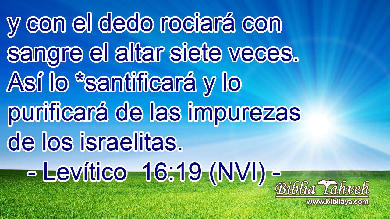  y con el dedo rociará con sangre el altar siete veces. Así lo *santificará y lo purificará de las impurezas de los israelitas. 
