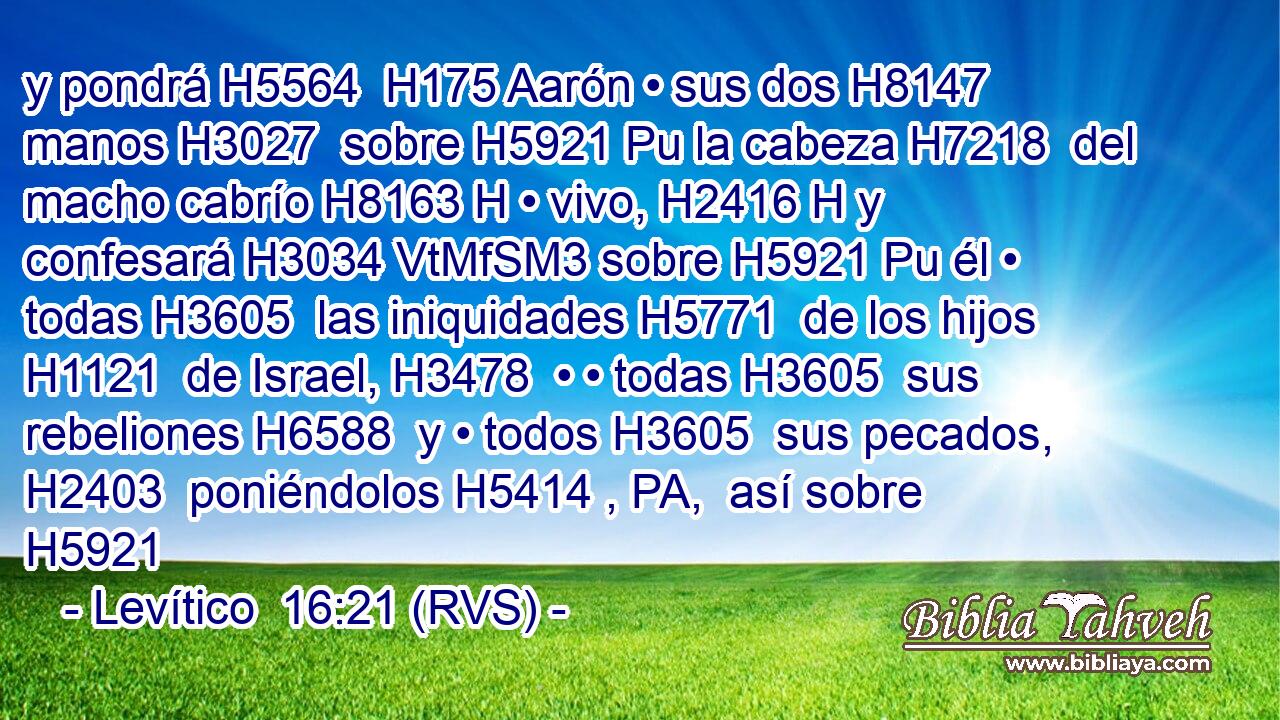 y pondrá H5564  H175 Aarón • sus dos H8147  manos H3027  sobre H5921 Pu la cabeza H7218  del macho cabrío H8163 H • vivo, H2416 H y confesará H3034 VtMfSM3 sobre H5921 Pu él • todas H3605  las iniquidades H5771  de los hijos H1121  de Israel, H3478  • • todas H3605  sus rebeliones H6588  y • todos H3605  sus pecados, H2403  poniéndolos H5414 , PA,  así sobre H5921 