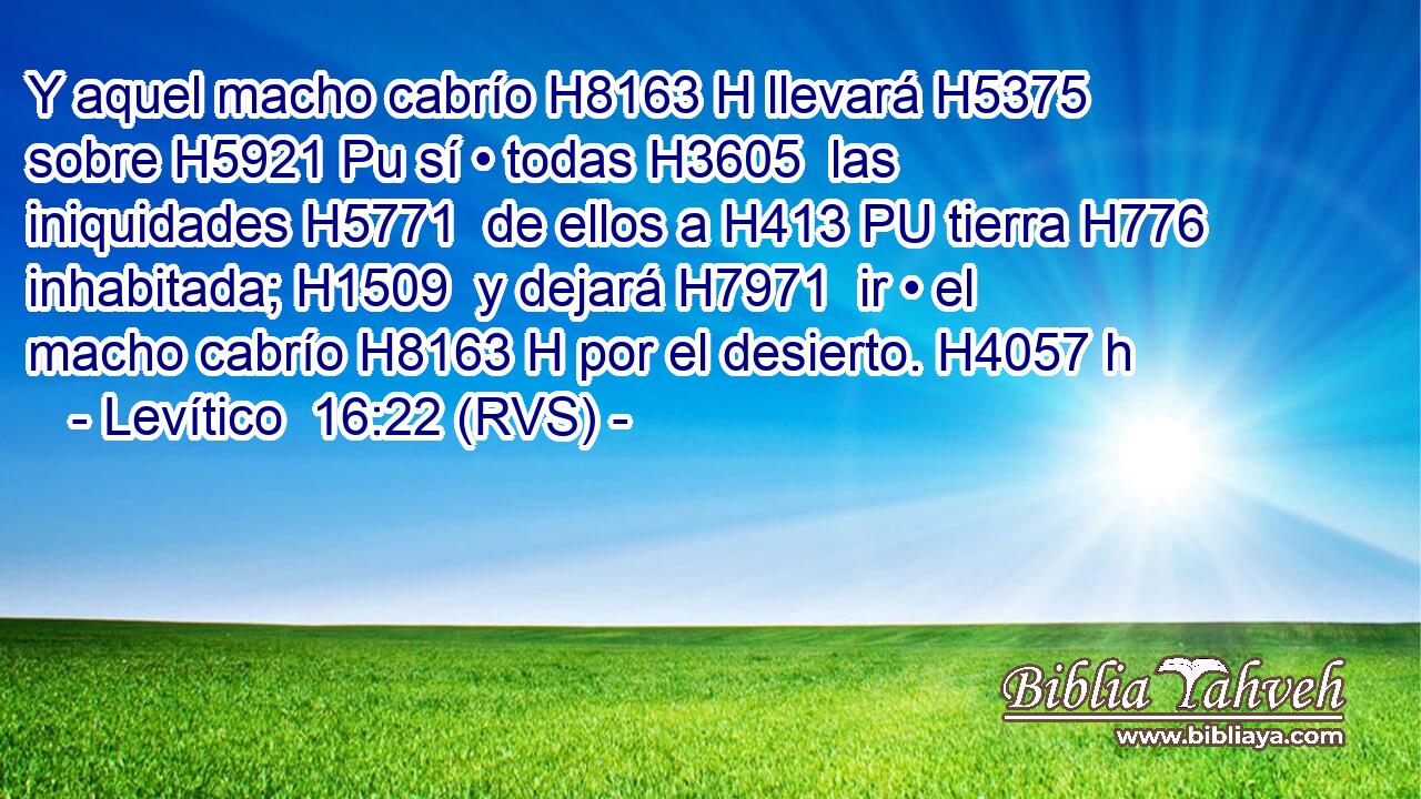 Y aquel macho cabrío H8163 H llevará H5375  sobre H5921 Pu sí • todas H3605  las iniquidades H5771  de ellos a H413 PU tierra H776  inhabitada; H1509  y dejará H7971  ir • el macho cabrío H8163 H por el desierto. H4057 h 