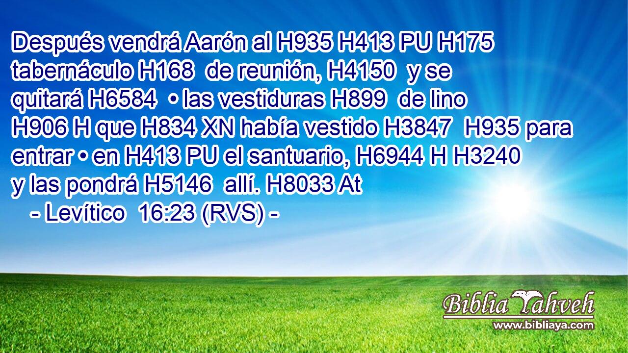 Después vendrá Aarón al H935 H413 PU H175 tabernáculo H168  de reunión, H4150  y se quitará H6584  • las vestiduras H899  de lino H906 H que H834 XN había vestido H3847  H935 para entrar • en H413 PU el santuario, H6944 H H3240 y las pondrá H5146  allí. H8033 At 