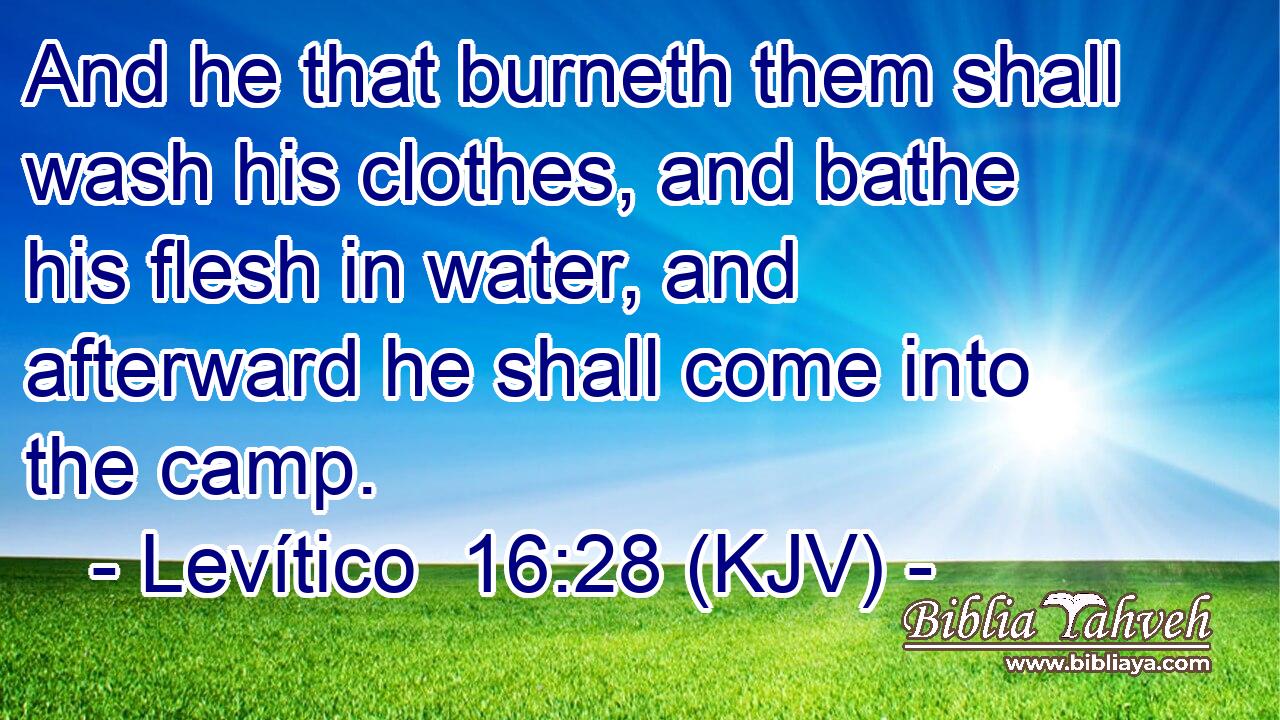 And he that burneth them shall wash his clothes, and bathe his flesh in water, and afterward he shall come into the camp.