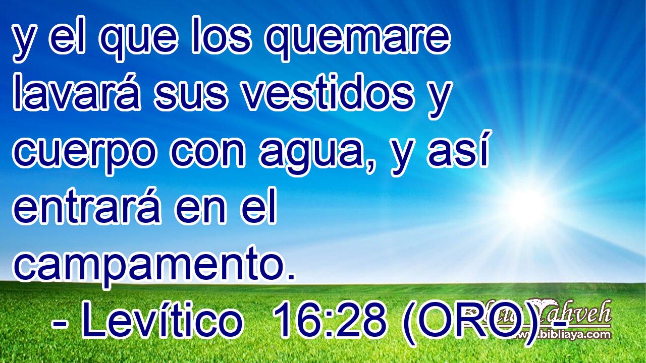  y el que los quemare lavará sus vestidos y cuerpo con agua, y así entrará en el campamento. 
