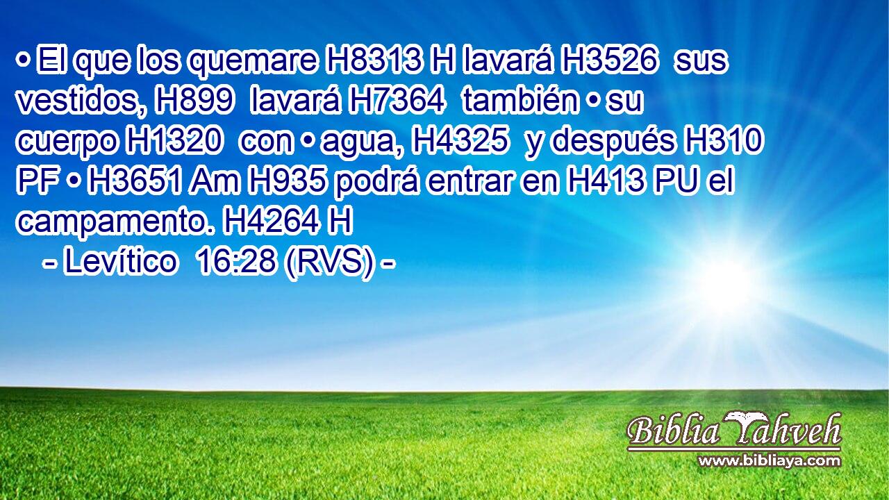 • El que los quemare H8313 H lavará H3526  sus vestidos, H899  lavará H7364  también • su cuerpo H1320  con • agua, H4325  y después H310 PF • H3651 Am H935 podrá entrar en H413 PU el campamento. H4264 H 