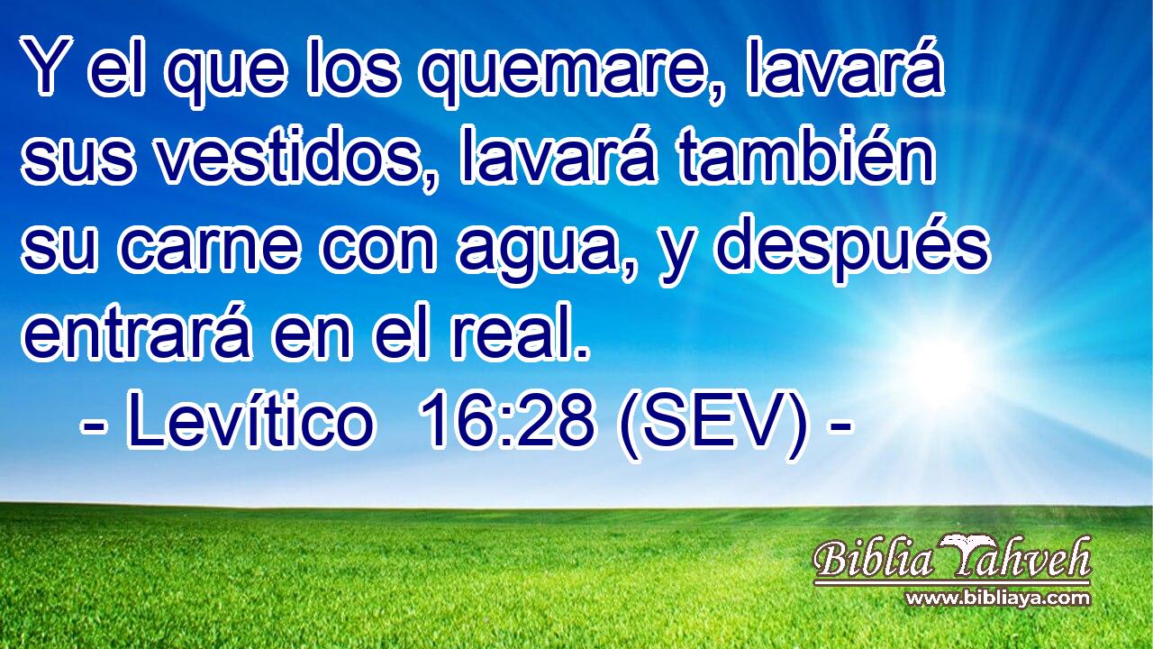 Y el que los quemare, lavará sus vestidos, lavará también su carne con agua, y después entrará en el real.