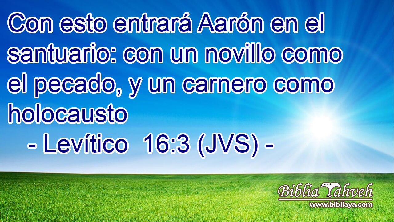 Con esto entrará Aarón en el santuario: con un novillo como el pecado, y un carnero como holocausto