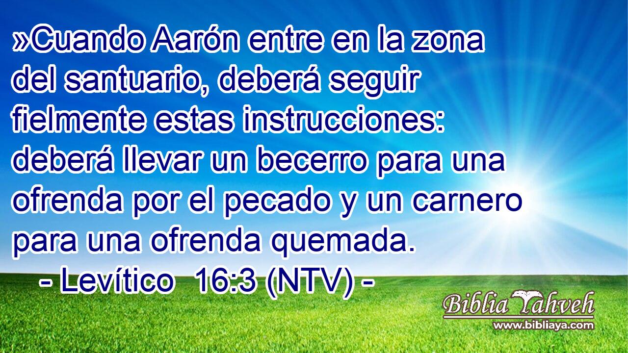 »Cuando Aarón entre en la zona del santuario, deberá seguir fielmente estas instrucciones: deberá llevar un becerro para una ofrenda por el pecado y un carnero para una ofrenda quemada.