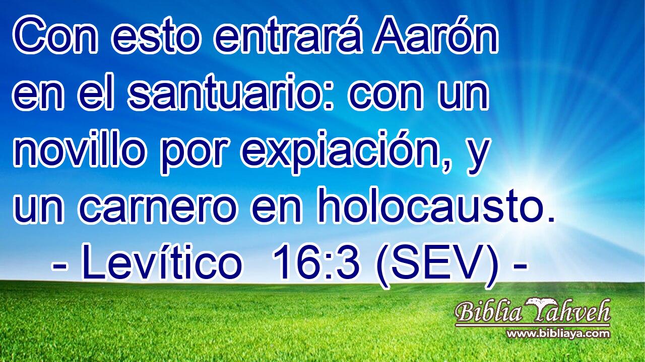 Con esto entrará Aarón en el santuario: con un novillo por expiación, y un carnero en holocausto.