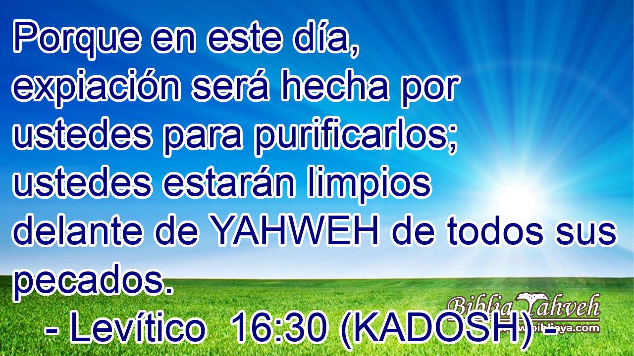  Porque en este día, expiación será hecha por ustedes para purificarlos; ustedes estarán limpios delante de YAHWEH de todos sus pecados. 