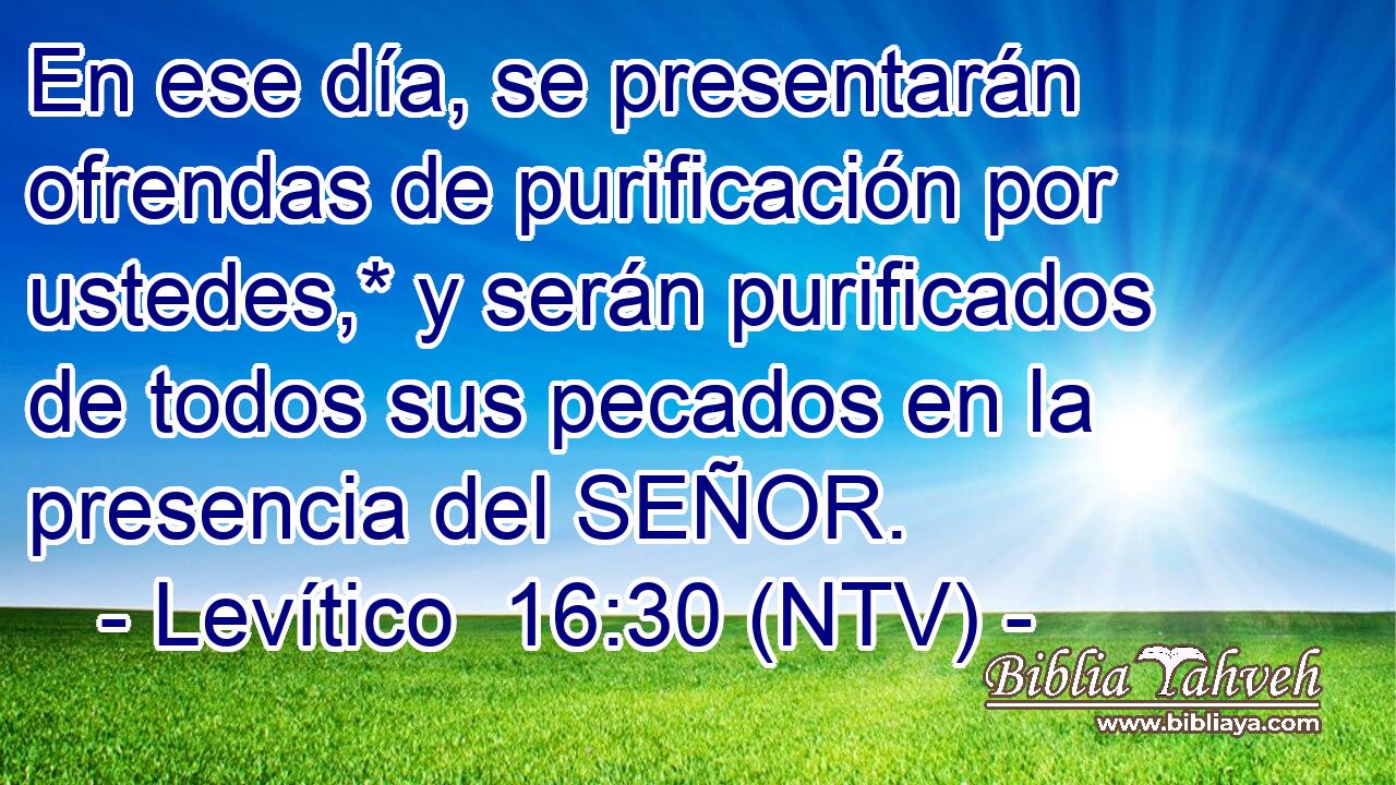 En ese día, se presentarán ofrendas de purificación por ustedes,* y serán purificados de todos sus pecados en la presencia del SEÑOR.