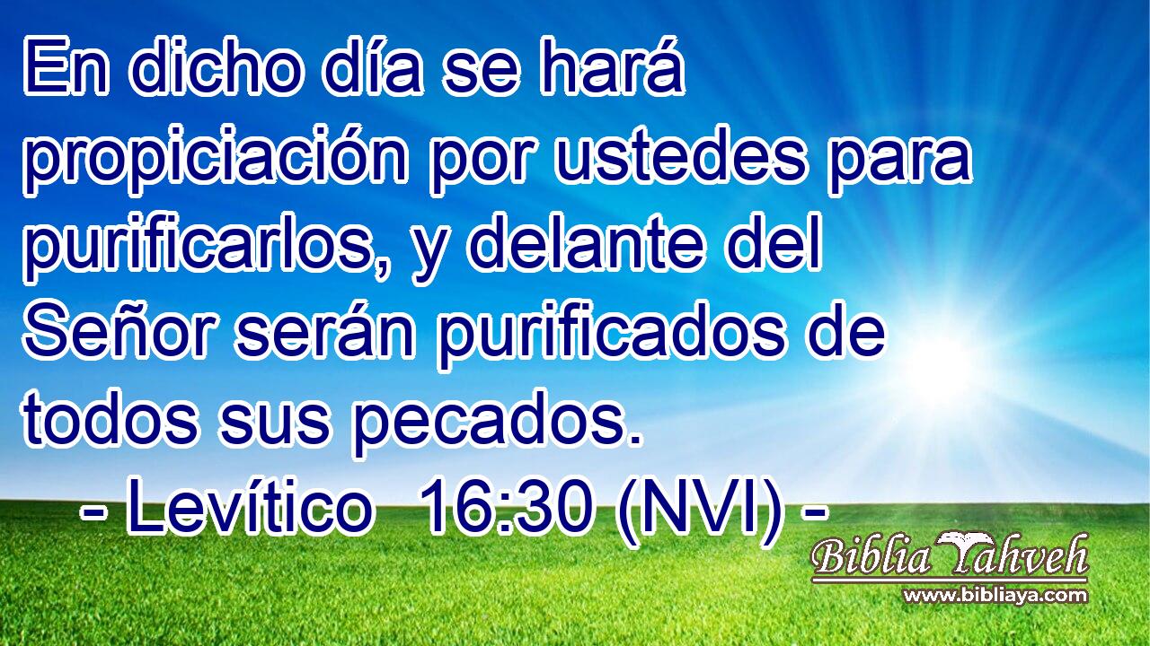  En dicho día se hará propiciación por ustedes para purificarlos, y delante del Señor serán purificados de todos sus pecados. 