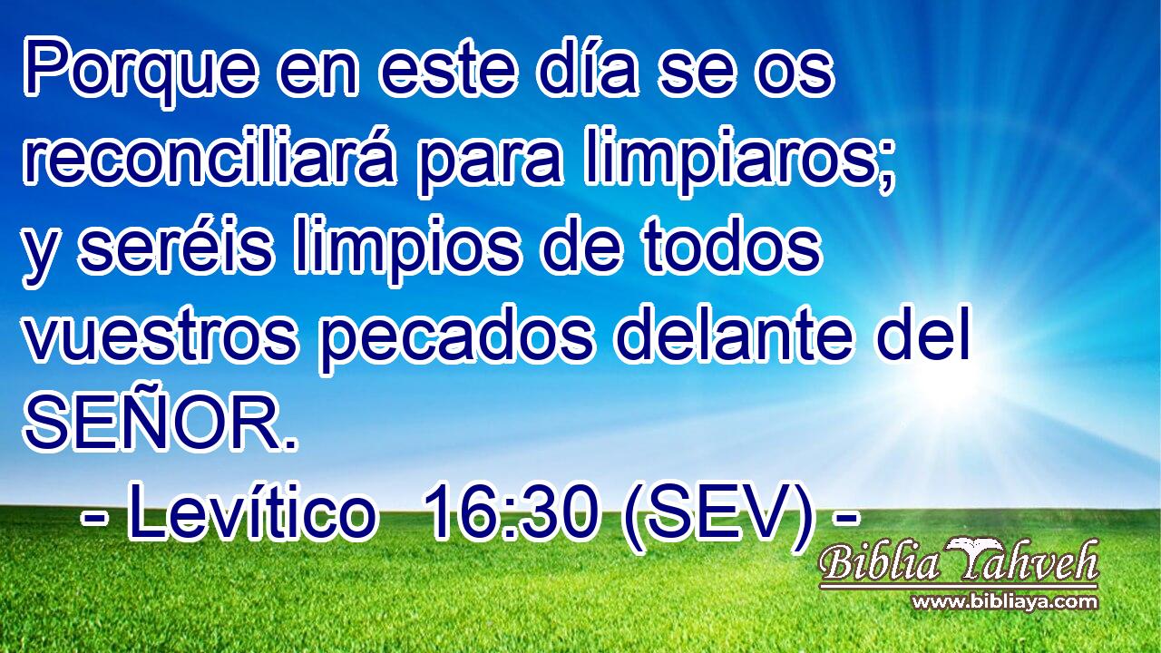 Porque en este día se os reconciliará para limpiaros; y seréis limpios de todos vuestros pecados delante del SEÑOR.