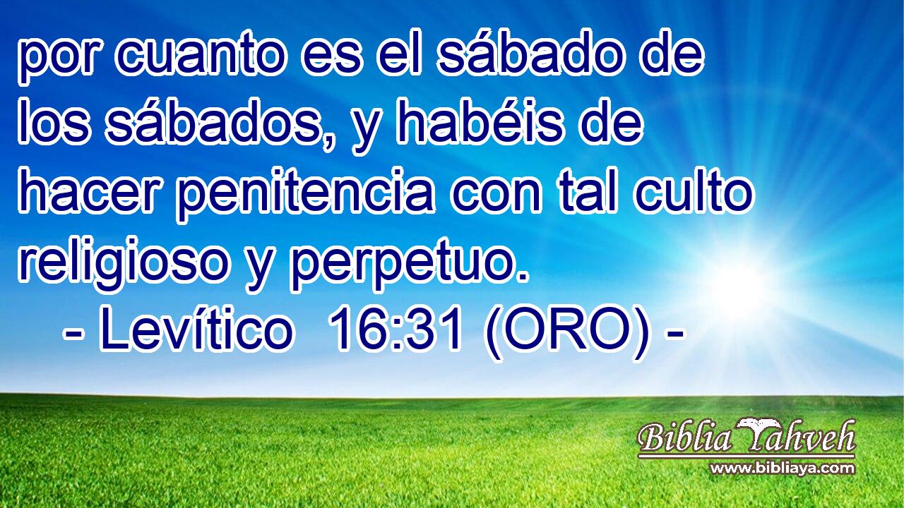  por cuanto es el sábado de los sábados, y habéis de hacer penitencia con tal culto religioso y perpetuo. 