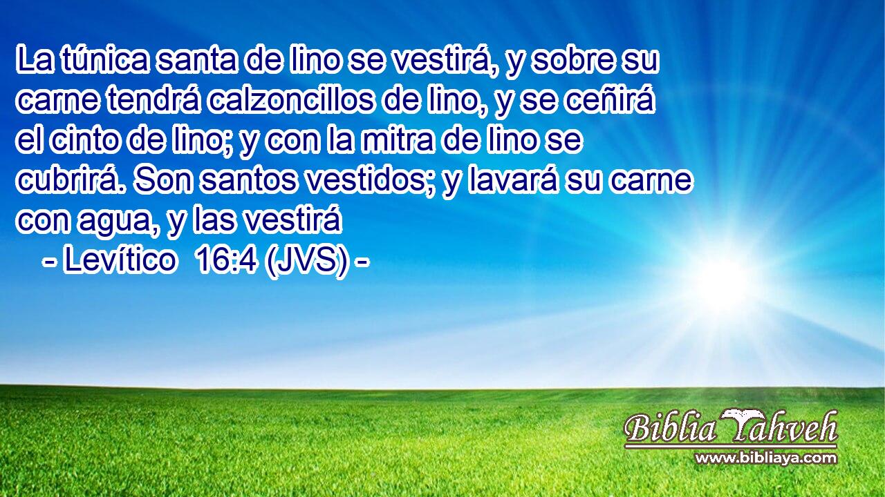La túnica santa de lino se vestirá, y sobre su carne tendrá calzoncillos de lino, y se ceñirá el cinto de lino; y con la mitra de lino se cubrirá. Son santos vestidos; y lavará su carne con agua, y las vestirá