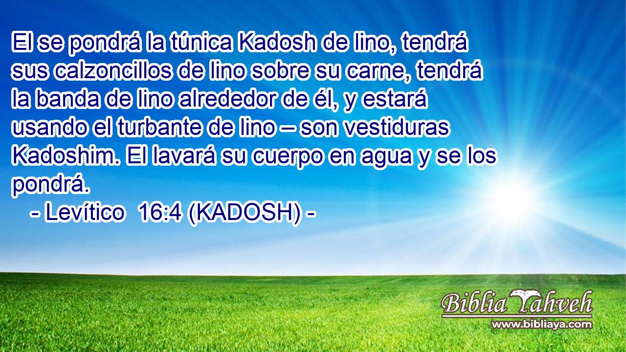  El se pondrá la túnica Kadosh de lino, tendrá sus calzoncillos de lino sobre su carne, tendrá la banda de lino alrededor de él, y estará usando el turbante de lino – son vestiduras Kadoshim. El lavará su cuerpo en agua y se los pondrá. 