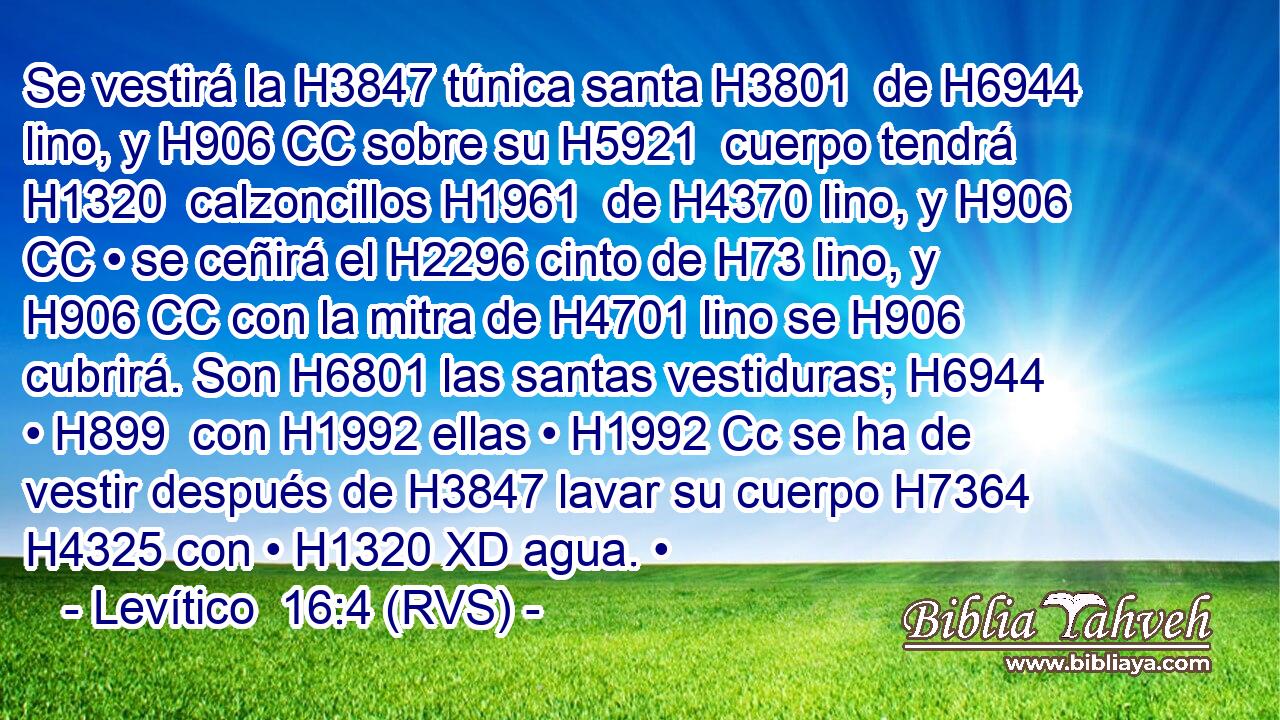 Se vestirá la H3847 túnica santa H3801  de H6944 lino, y H906 CC sobre su H5921  cuerpo tendrá H1320  calzoncillos H1961  de H4370 lino, y H906 CC • se ceñirá el H2296 cinto de H73 lino, y H906 CC con la mitra de H4701 lino se H906 cubrirá. Son H6801 las santas vestiduras; H6944  • H899  con H1992 ellas • H1992 Cc se ha de vestir después de H3847 lavar su cuerpo H7364  H4325 con • H1320 XD agua. • 
