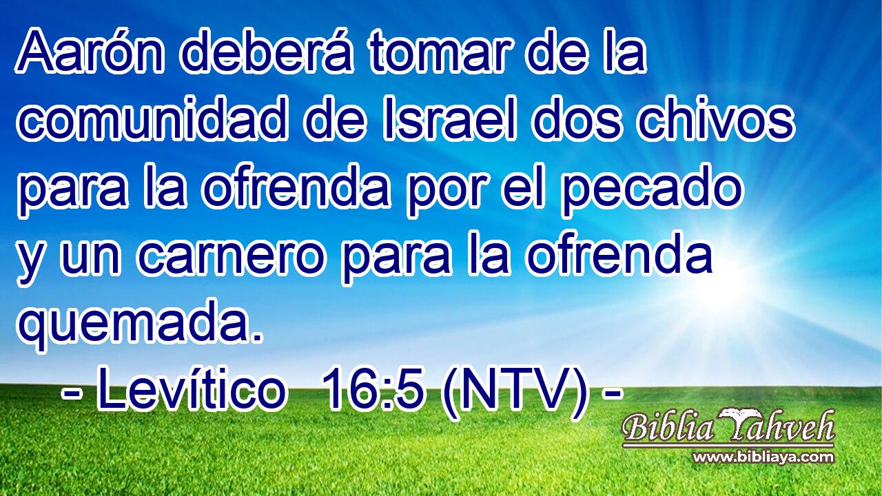 Aarón deberá tomar de la comunidad de Israel dos chivos para la ofrenda por el pecado y un carnero para la ofrenda quemada.