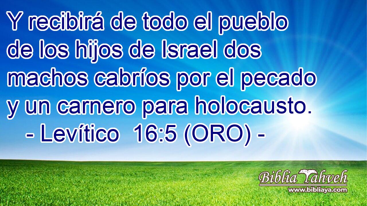  Y recibirá de todo el pueblo de los hijos de Israel dos machos cabríos por el pecado y un carnero para holocausto. 