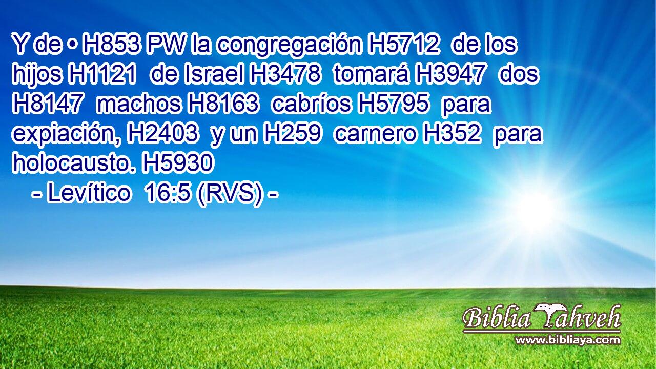 Y de • H853 PW la congregación H5712  de los hijos H1121  de Israel H3478  tomará H3947  dos H8147  machos H8163  cabríos H5795  para expiación, H2403  y un H259  carnero H352  para holocausto. H5930  