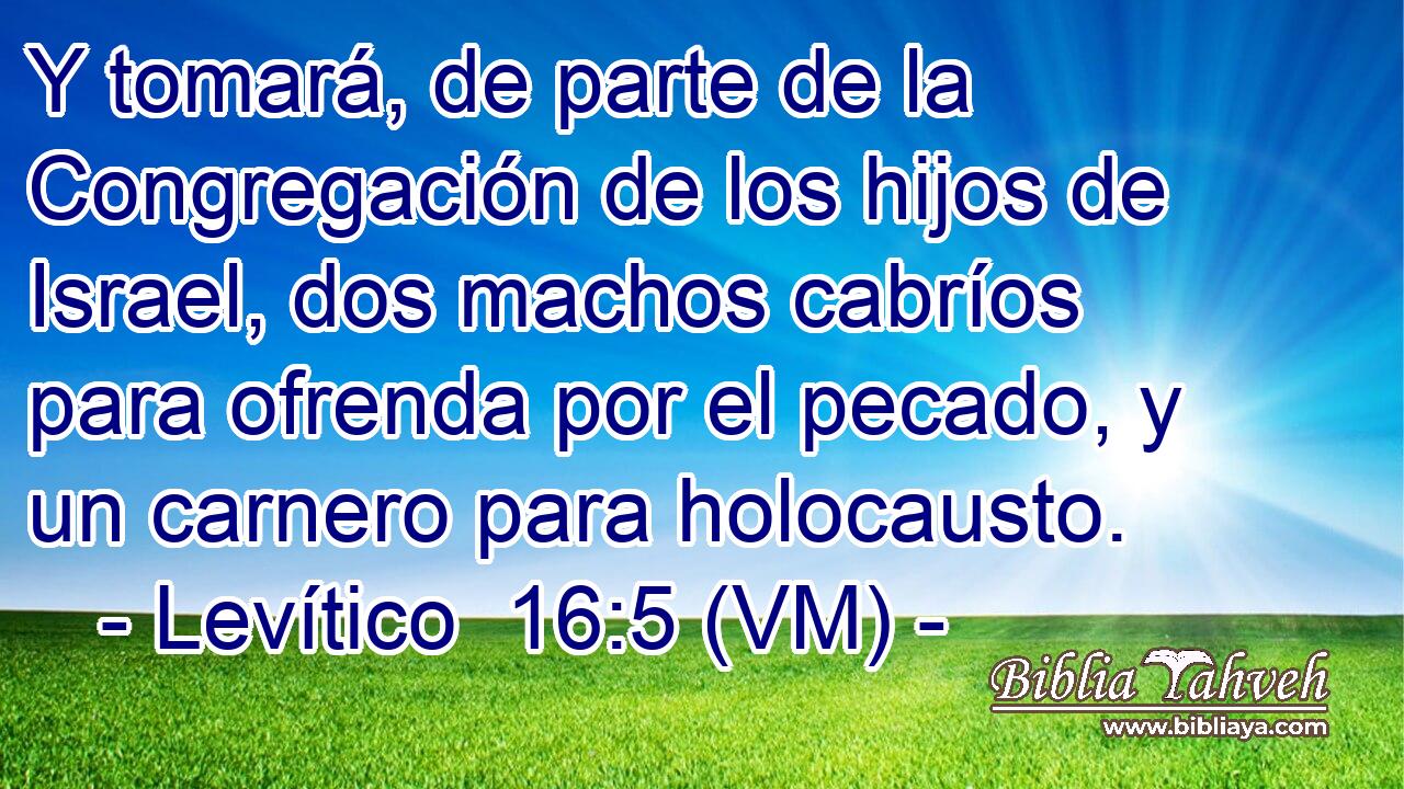  Y tomará, de parte de la Congregación de los hijos de Israel, dos machos cabríos para ofrenda por el pecado, y un carnero para holocausto. 