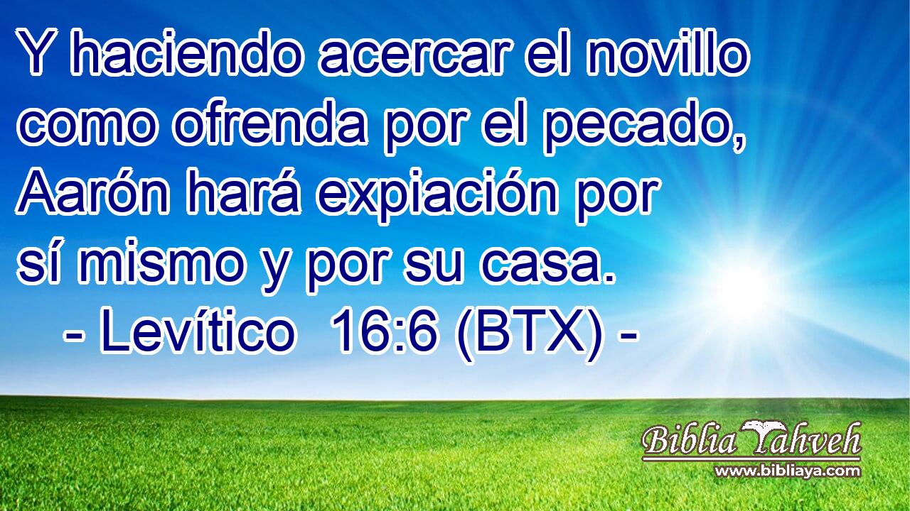 Y haciendo acercar el novillo como ofrenda por el pecado, Aarón hará expiación por sí mismo y por su casa.