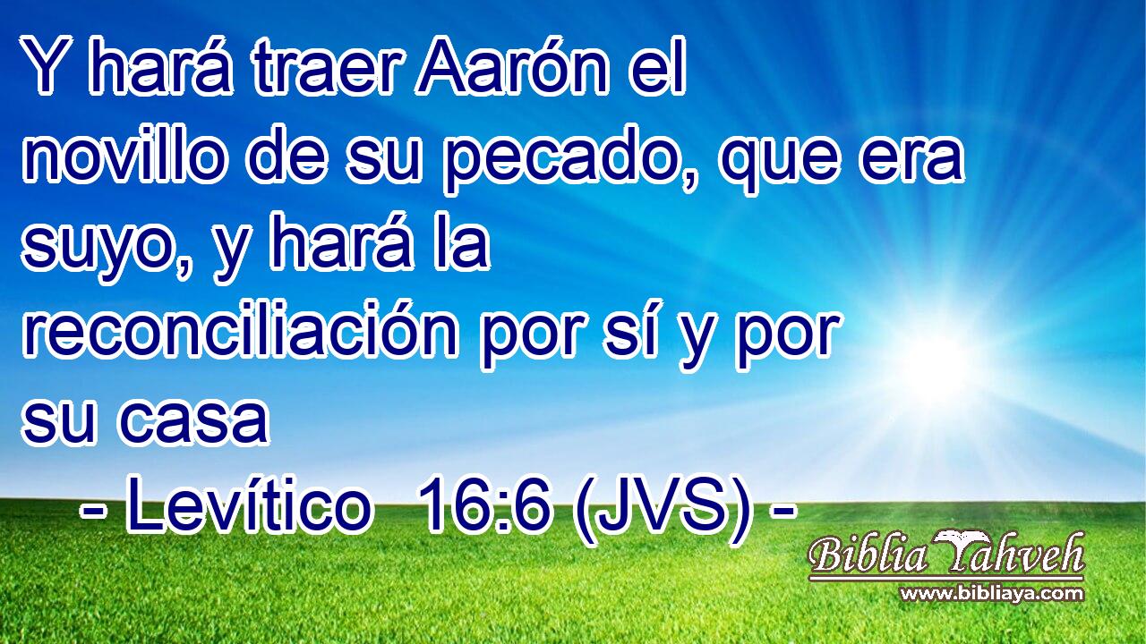 Y hará traer Aarón el novillo de su pecado, que era suyo, y hará la reconciliación por sí y por su casa