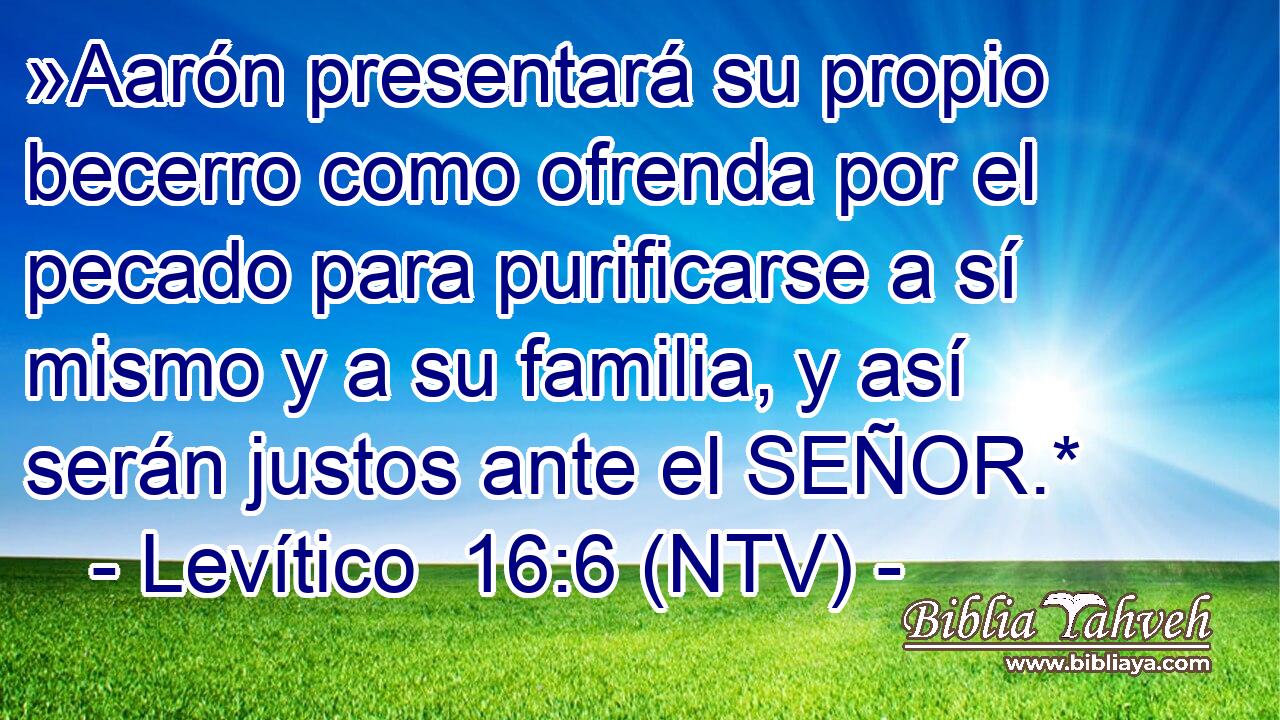 »Aarón presentará su propio becerro como ofrenda por el pecado para purificarse a sí mismo y a su familia, y así serán justos ante el SEÑOR.*