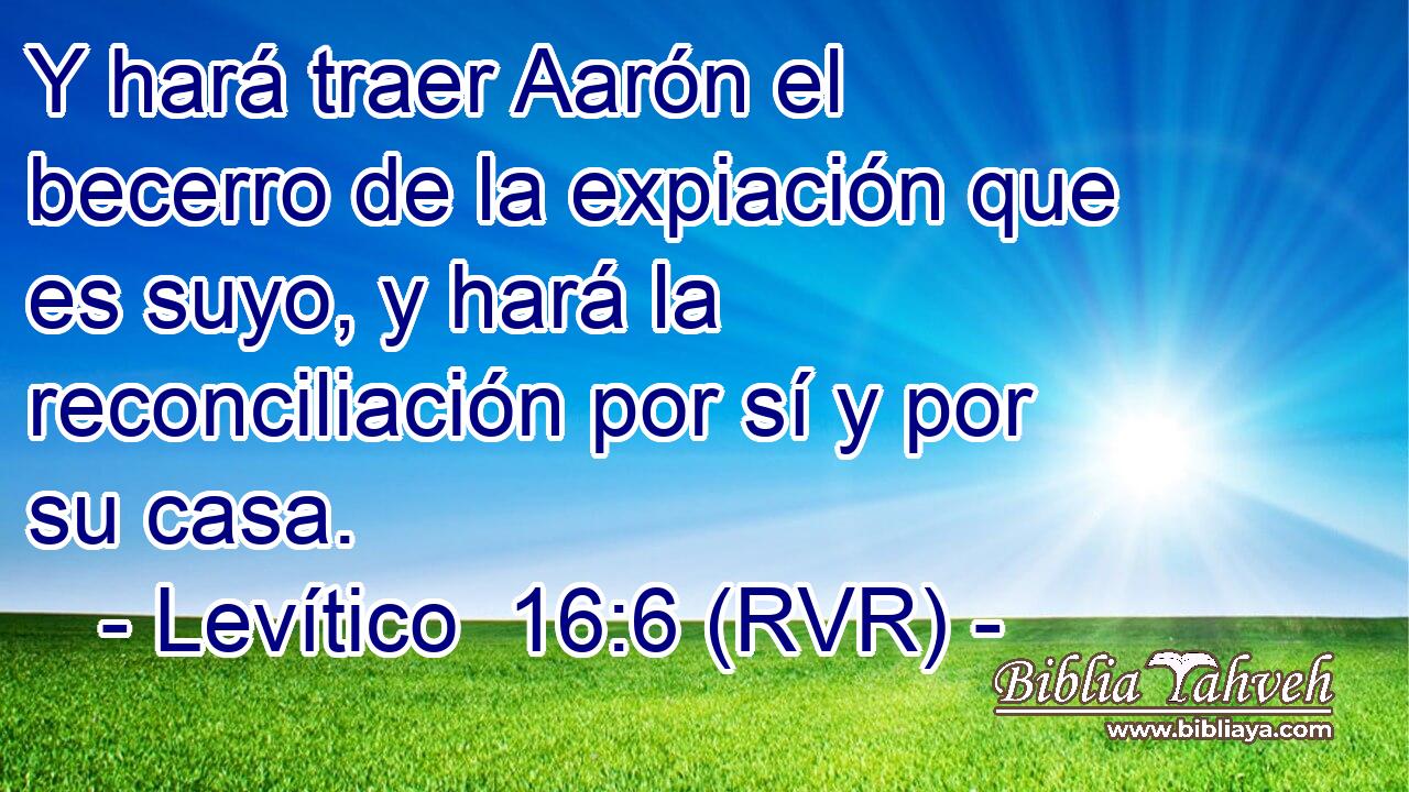 Y hará traer Aarón el becerro de la expiación que es suyo, y hará la reconciliación por sí y por su casa.