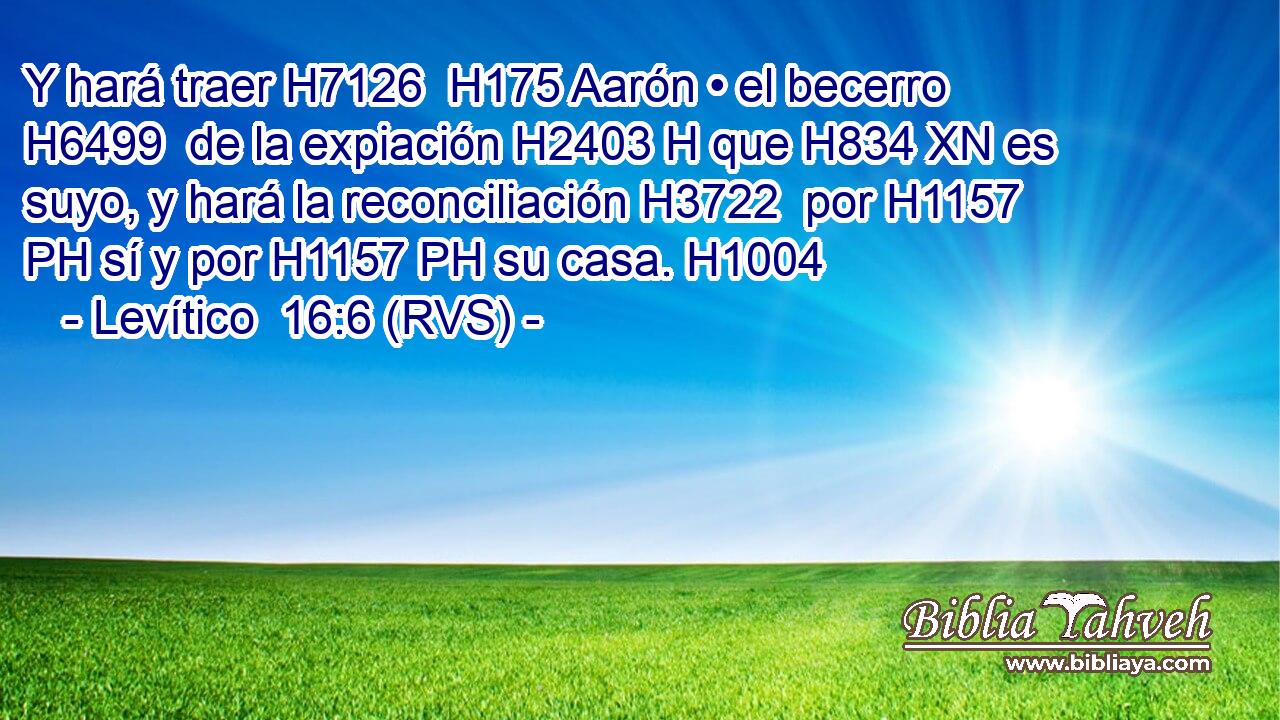 Y hará traer H7126  H175 Aarón • el becerro H6499  de la expiación H2403 H que H834 XN es suyo, y hará la reconciliación H3722  por H1157 PH sí y por H1157 PH su casa. H1004  