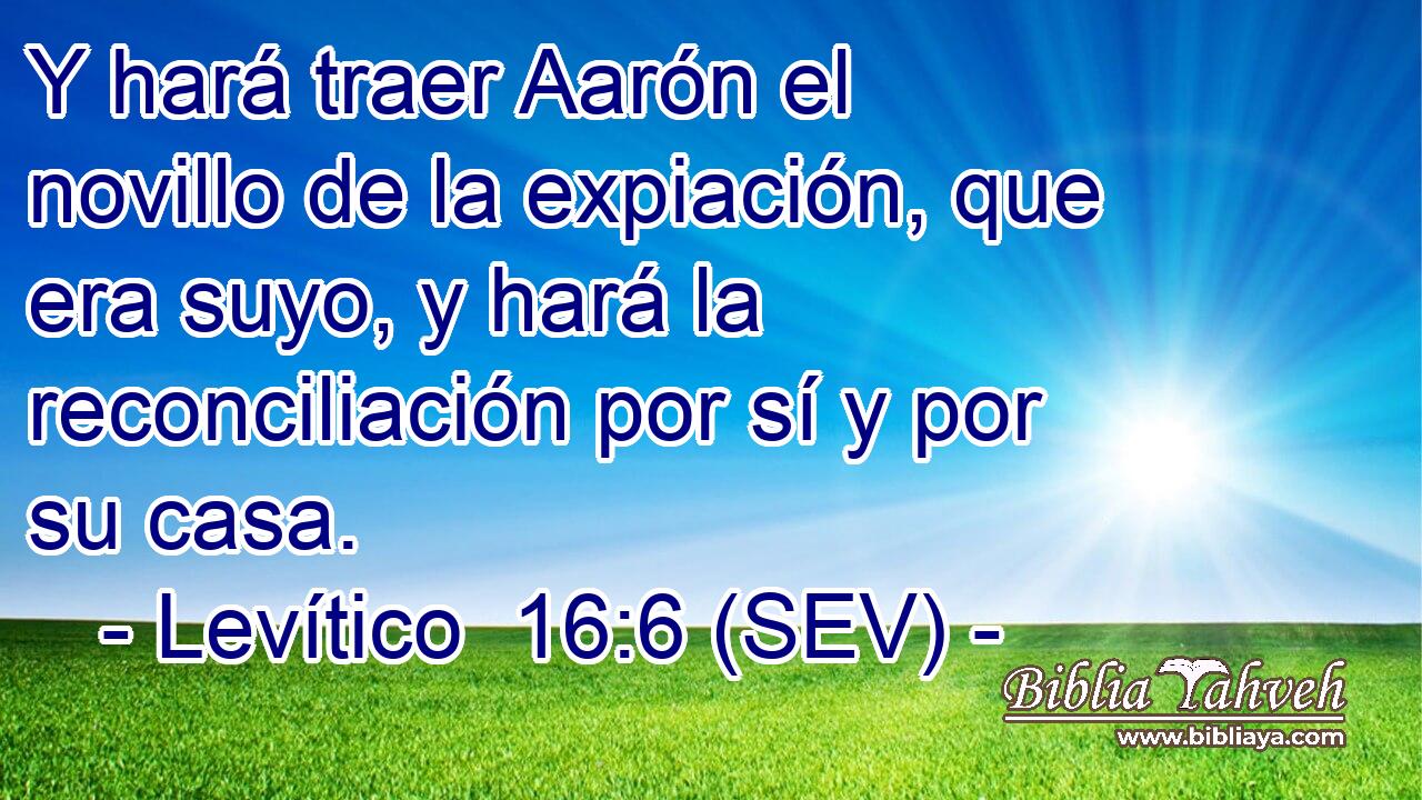 Y hará traer Aarón el novillo de la expiación, que era suyo, y hará la reconciliación por sí y por su casa.