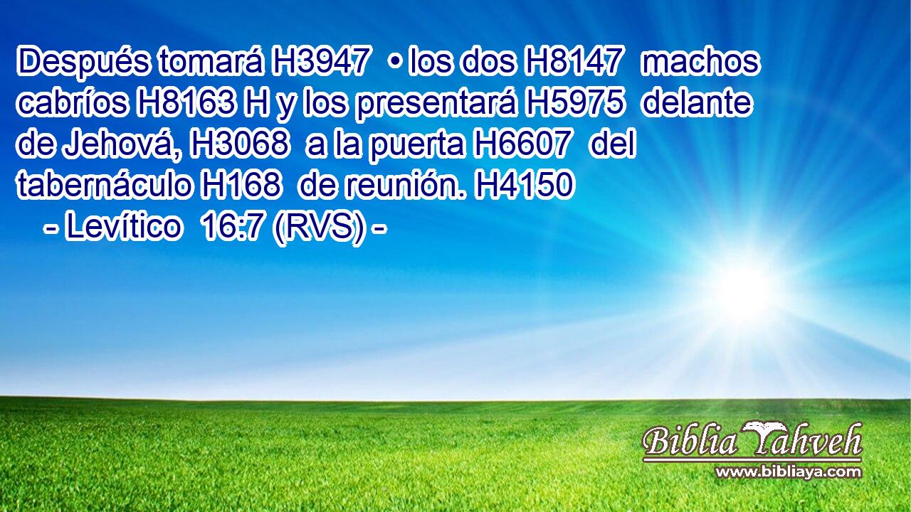 Después tomará H3947  • los dos H8147  machos cabríos H8163 H y los presentará H5975  delante de Jehová, H3068  a la puerta H6607  del tabernáculo H168  de reunión. H4150  