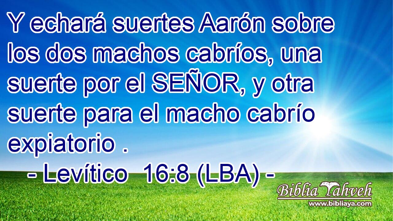 Y echará suertes Aarón sobre los dos machos cabríos, una suerte por el SEÑOR, y otra suerte para el macho cabrío expiatorio .