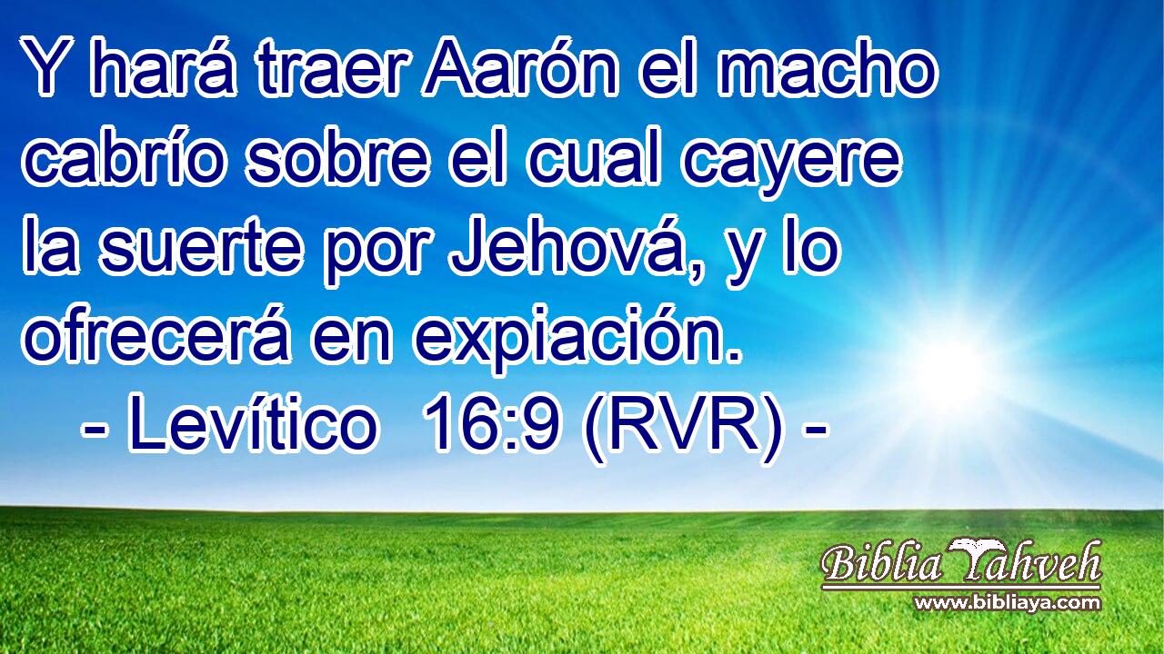 Y hará traer Aarón el macho cabrío sobre el cual cayere la suerte por Jehová, y lo ofrecerá en expiación.