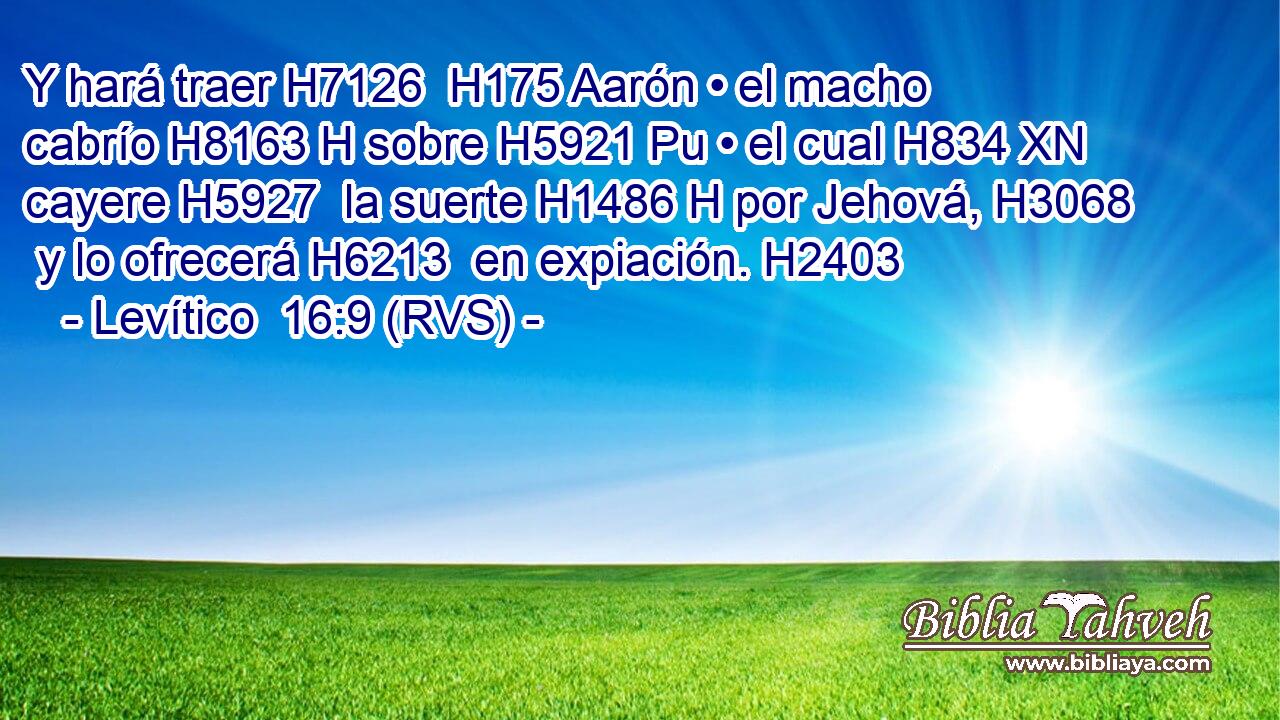 Y hará traer H7126  H175 Aarón • el macho cabrío H8163 H sobre H5921 Pu • el cual H834 XN cayere H5927  la suerte H1486 H por Jehová, H3068  y lo ofrecerá H6213  en expiación. H2403  