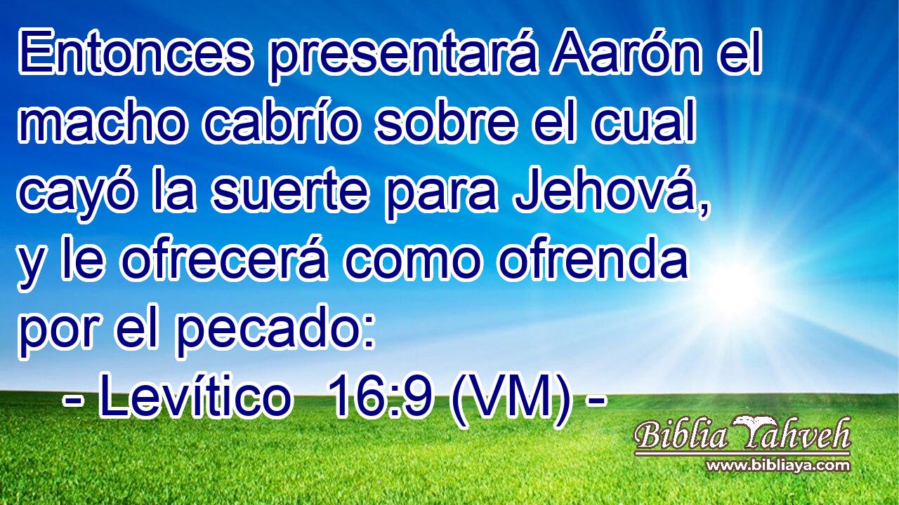  Entonces presentará Aarón el macho cabrío sobre el cual cayó la suerte para Jehová, y le ofrecerá como ofrenda por el pecado: 