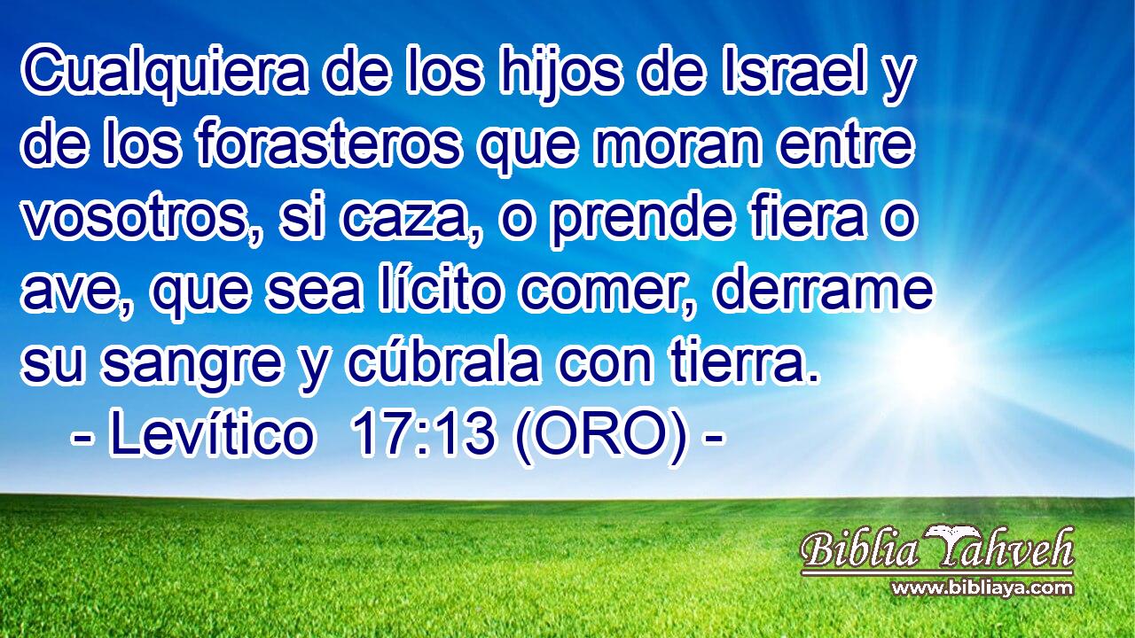  Cualquiera de los hijos de Israel y de los forasteros que moran entre vosotros, si caza, o prende fiera o ave, que sea lícito comer, derrame su sangre y cúbrala con tierra. 