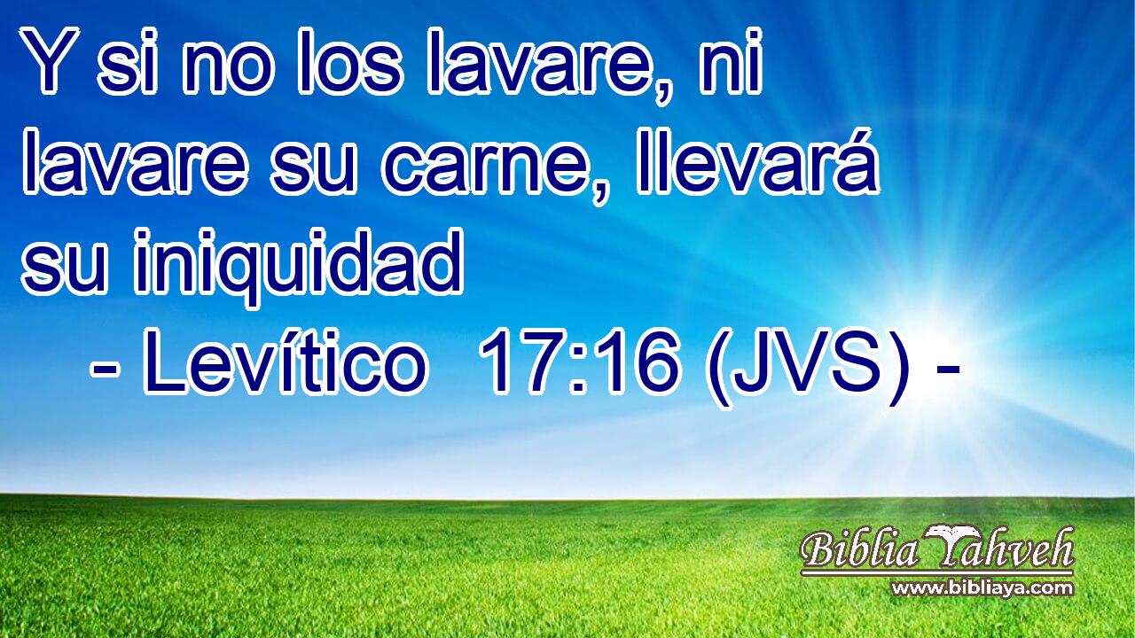 Y si no los lavare, ni lavare su carne, llevará su iniquidad