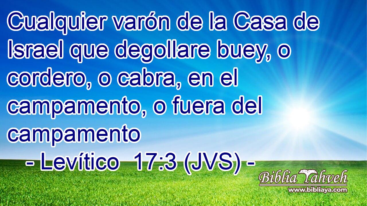 Cualquier varón de la Casa de Israel que degollare buey, o cordero, o cabra, en el campamento, o fuera del campamento