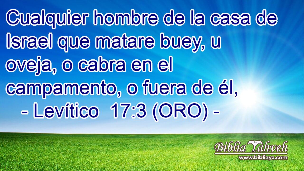  Cualquier hombre de la casa de Israel que matare buey, u oveja, o cabra en el campamento, o fuera de él, 