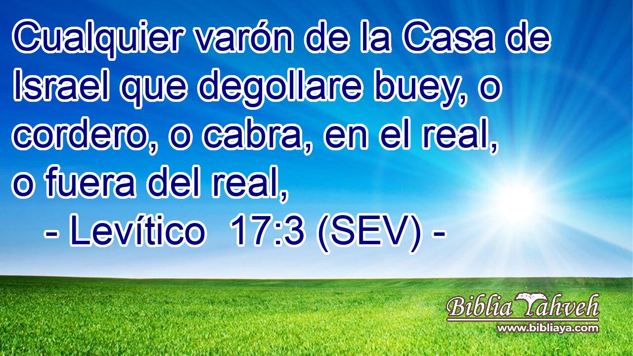 Cualquier varón de la Casa de Israel que degollare buey, o cordero, o cabra, en el real, o fuera del real,