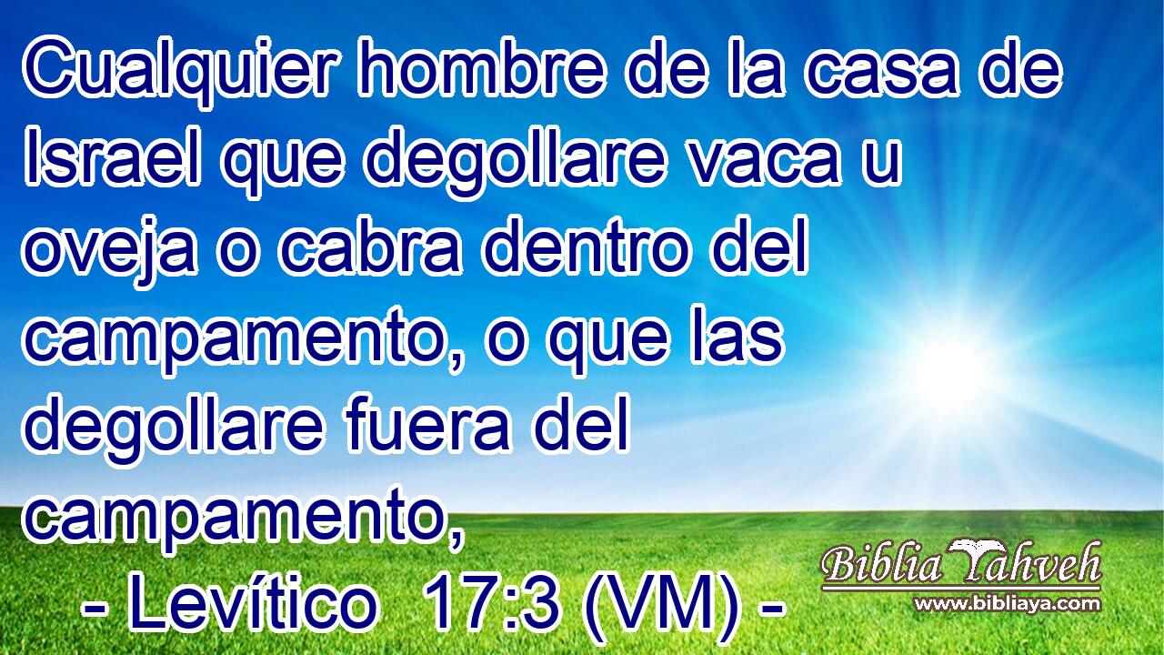  Cualquier hombre de la casa de Israel que degollare vaca u oveja o cabra dentro del campamento, o que las degollare fuera del campamento, 