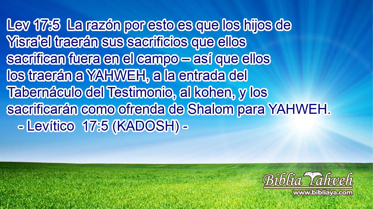  La razón por esto es que los hijos de Yisra'el traerán sus sacrificios que ellos sacrifican fuera en el campo – así que ellos los traerán a YAHWEH, a la entrada del Tabernáculo del Testimonio, al kohen, y los sacrificarán como ofrenda de Shalom para YAHWEH. 