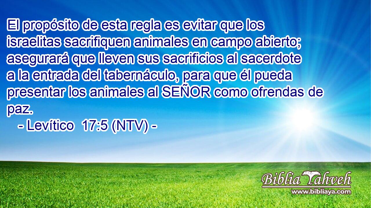 El propósito de esta regla es evitar que los israelitas sacrifiquen animales en campo abierto; asegurará que lleven sus sacrificios al sacerdote a la entrada del tabernáculo, para que él pueda presentar los animales al SEÑOR como ofrendas de paz.