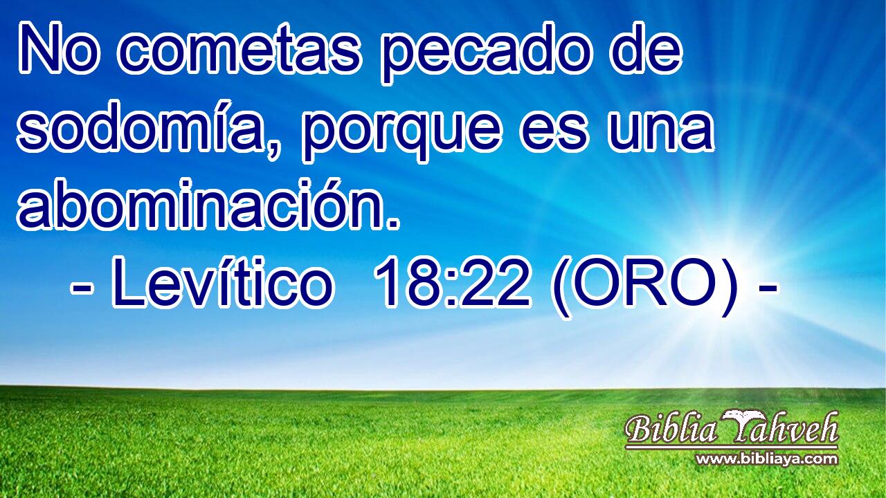  No cometas pecado de sodomía, porque es una abominación. 