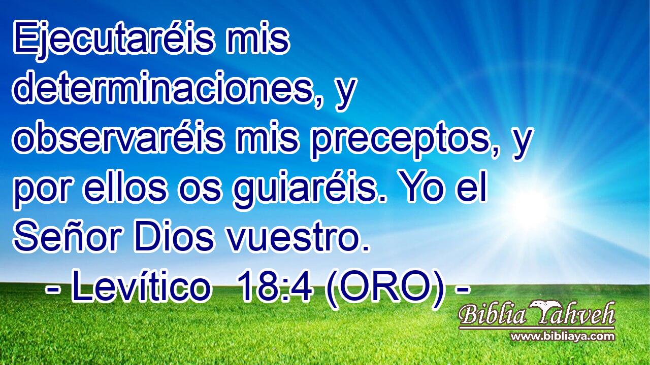 Ejecutaréis mis determinaciones, y observaréis mis preceptos, y por ellos os guiaréis. Yo el Señor Dios vuestro. 