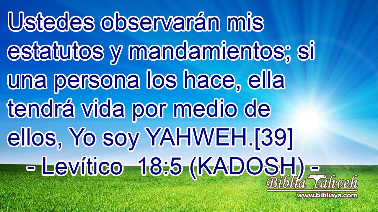  Ustedes observarán mis estatutos y mandamientos; si una persona los hace, ella tendrá vida por medio de ellos, Yo soy YAHWEH.[39] 
