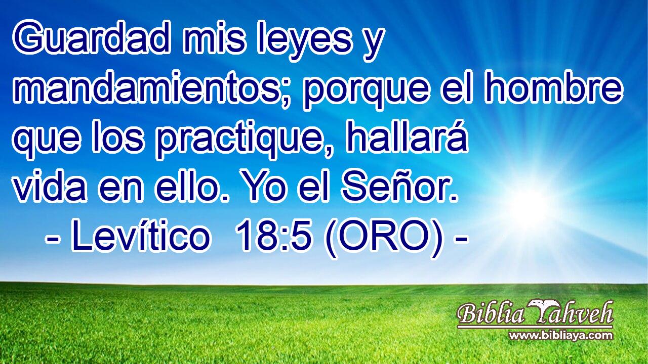  Guardad mis leyes y mandamientos; porque el hombre que los practique, hallará vida en ello. Yo el Señor. 