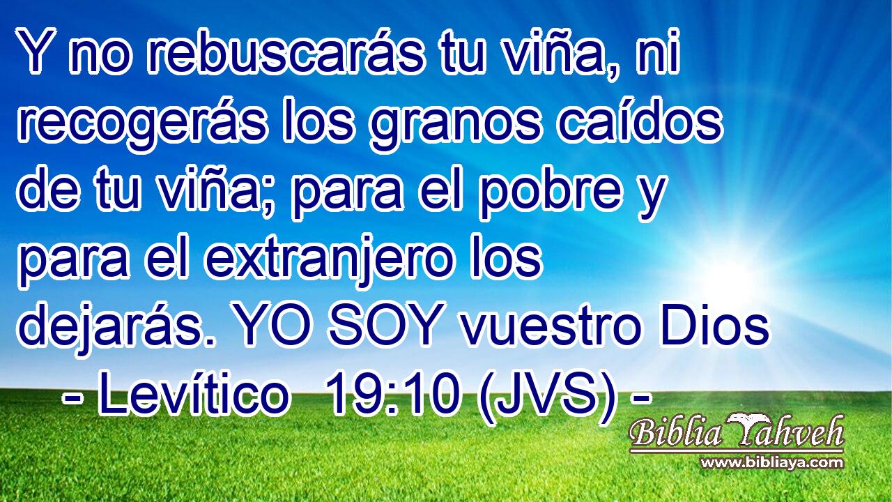 Y no rebuscarás tu viña, ni recogerás los granos caídos de tu viña; para el pobre y para el extranjero los dejarás. YO SOY vuestro Dios