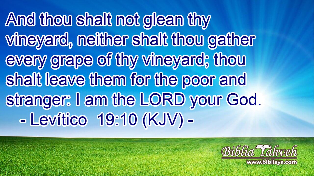 And thou shalt not glean thy vineyard, neither shalt thou gather every grape of thy vineyard; thou shalt leave them for the poor and stranger: I am the LORD your God.