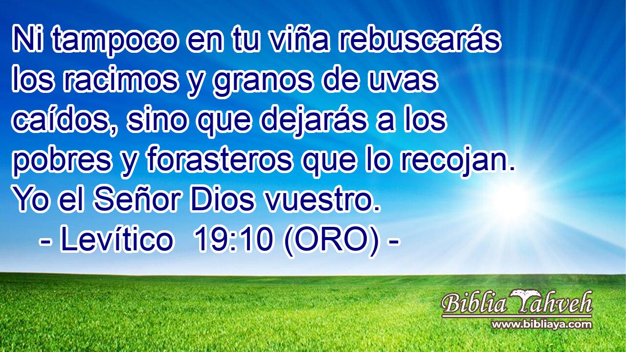  Ni tampoco en tu viña rebuscarás los racimos y granos de uvas caídos, sino que dejarás a los pobres y forasteros que lo recojan. Yo el Señor Dios vuestro. 